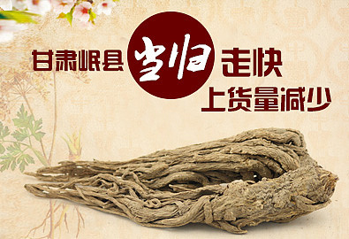 一组中药材养生平面设计